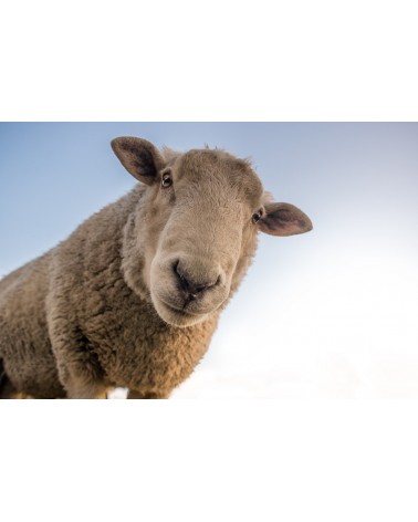 produit test Webromand (NE PAS SUPPRIMER)